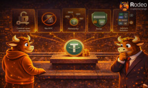 اینفوگرافیک ویژگی‌های کیف پول امن تتر؛ نمایش قابلیت‌های کنترل کلید خصوصی (Private Key)، عدم نیاز به احراز هویت (No KYC)، پشتیبانی از شبکه‌های مختلف (Networks) و قابلیت Swap در صرافی