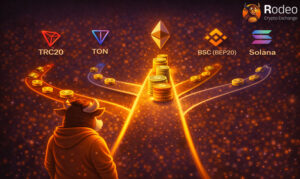 اینفوگرافیک مقایسه شبکه‌های انتقال تتر؛ نمایش مسیرهای مختلف واریز و برداشت شامل TRC20، TON، اتریوم (ERC20)، BSC (BEP20) و سولانا (Solana) با استفاده از کاراکتر گاو صرافی Rodeo برای راهنمایی انتخاب بهترین شبکه.
